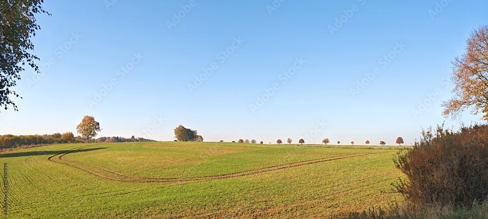 Fototapeta premium Felder im Herbst