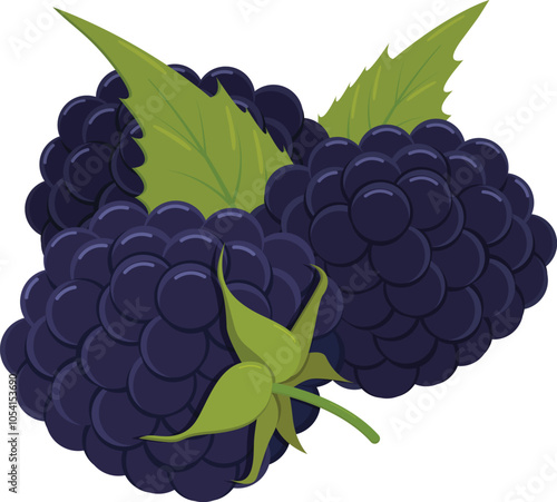 Flat vector Blackberry fruit