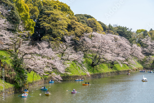 Tokyo, Japan - Mar 30 : the unidentified traveller padding a boat to see sakura in Chidori park on Mar 30, 2023 in Tokyo, Japan photo