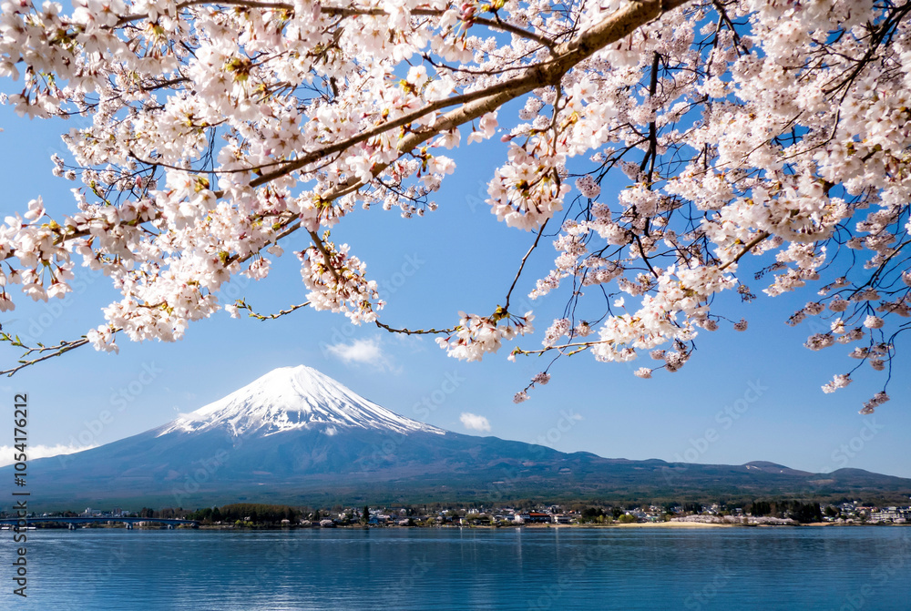 custom made wallpaper toronto digitalFuji mountain and cherry blossoms Sakura in spring at Kawaguchiko, Japan.