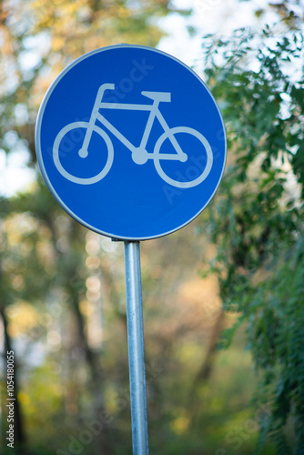 Bicycle Traffic Sign on Forest Pathway in Autumn Setting