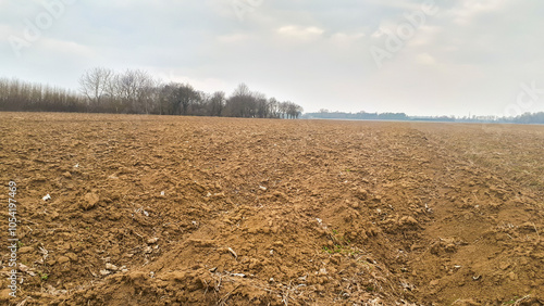 Fotografia A barren agricultural field under a cloudy sky, with a distant tree line and muted earth tones