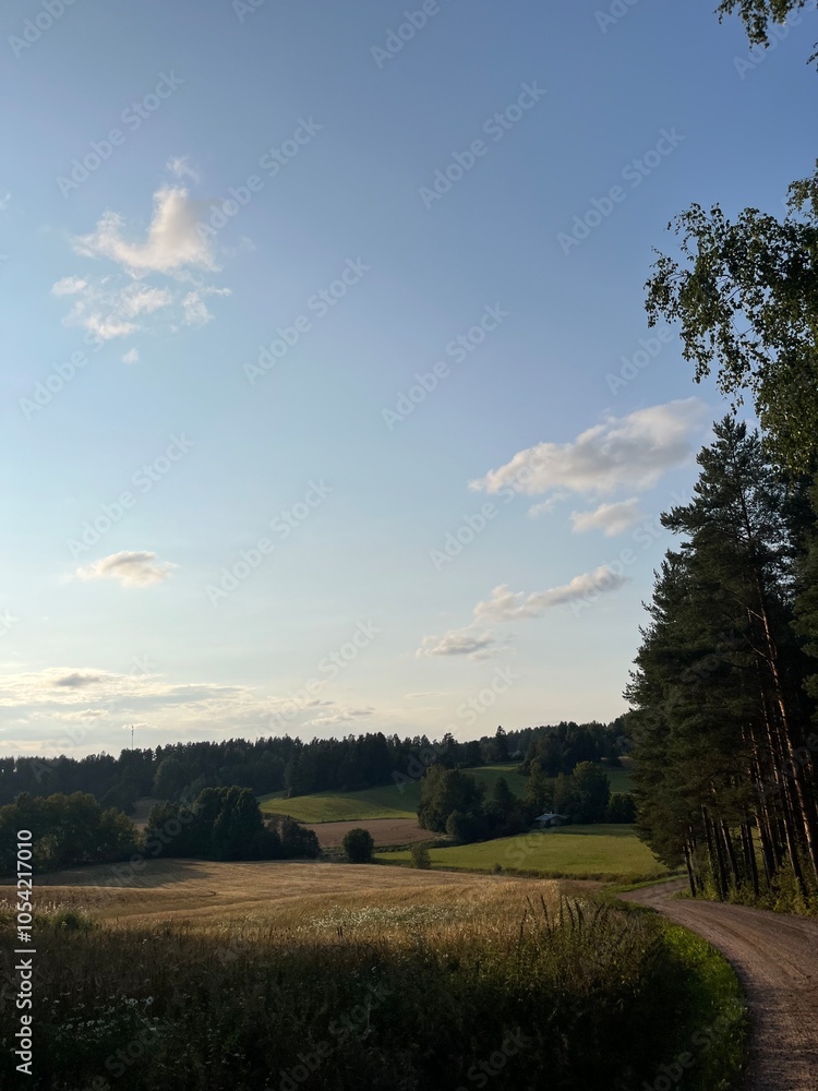 Obraz premium Fields and forest.