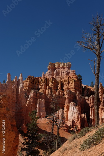 Bryce Canyon National Park - October 2024