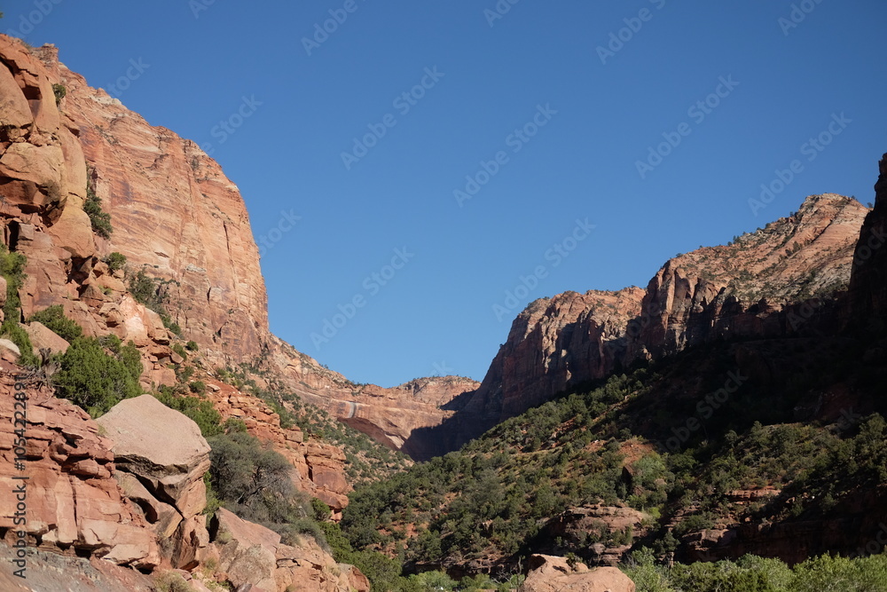 Fototapeta premium Zion National Park - October 2024
