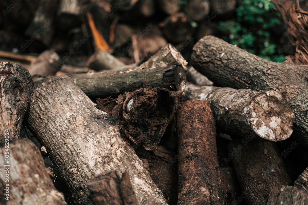 Fototapeta premium In the background, a brown stack of firewood, cut logs with rich texture, stands proudly, showcasing nature's beauty and the timber harvested from a sturdy tree.