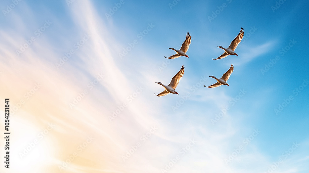 Obraz premium A stunning view of birds in formation against a vibrant twilight sky, capturing freedom and natural beauty