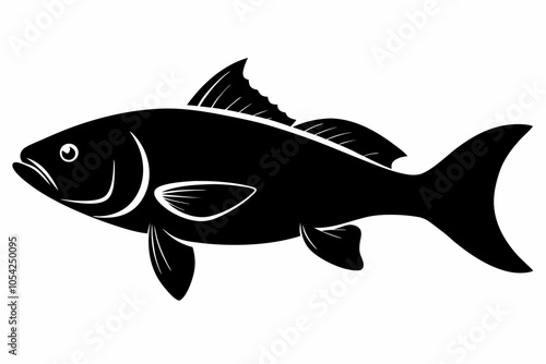 Barramundi Fish silhouette vector, fish black silhouette vector illustration
