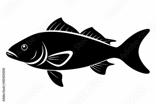Barramundi Fish silhouette vector, fish black silhouette vector illustration
