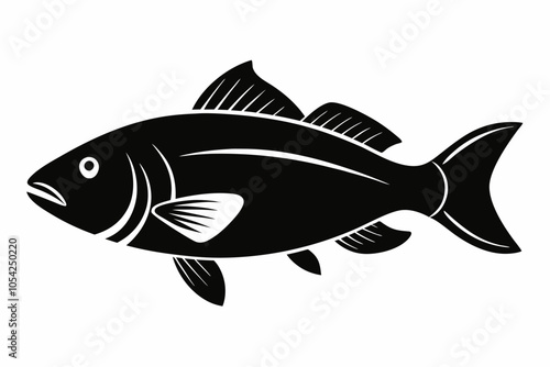 Barramundi Fish silhouette vector, fish black silhouette vector illustration
