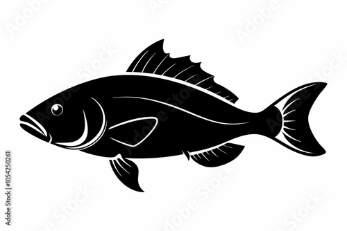 Barramundi Fish silhouette vector, fish black silhouette vector illustration

