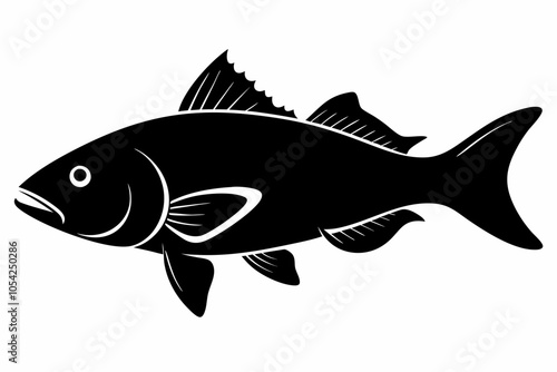 Barramundi Fish silhouette vector, fish black silhouette vector illustration
