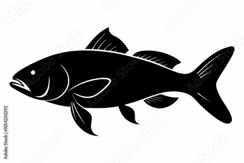 Barramundi Fish silhouette vector, fish black silhouette vector illustration
