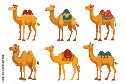 Set of one-humped and two-humped camels on white background. Desert animals collection. 