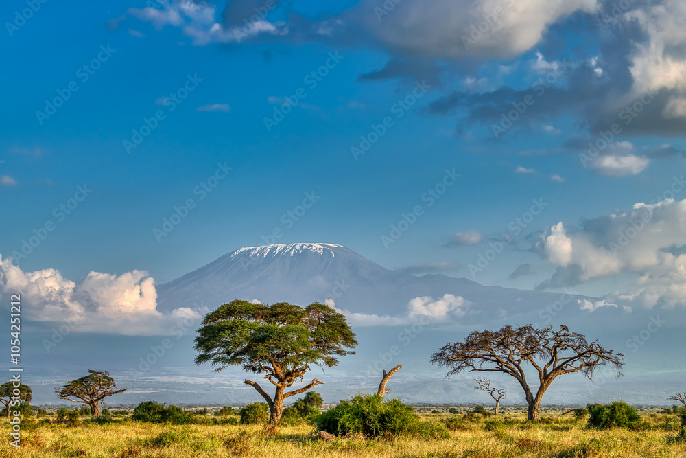 Kenya is a country in East Africa with a coastline on the Indian Ocean.