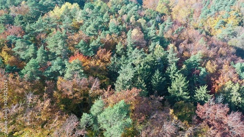 Widok na polski las w okresie złotej polskiej jesieni. Gdynia Witomino, Wysoczyzna Kaszubska. photo