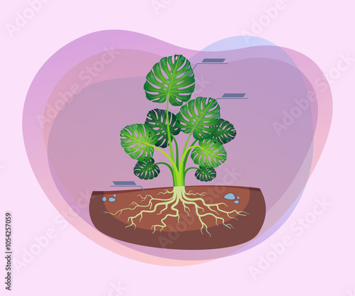 Cartoon drawing anatomical structure of plant consisting of root, stems and leaves. Botanical anatomy and biology concept