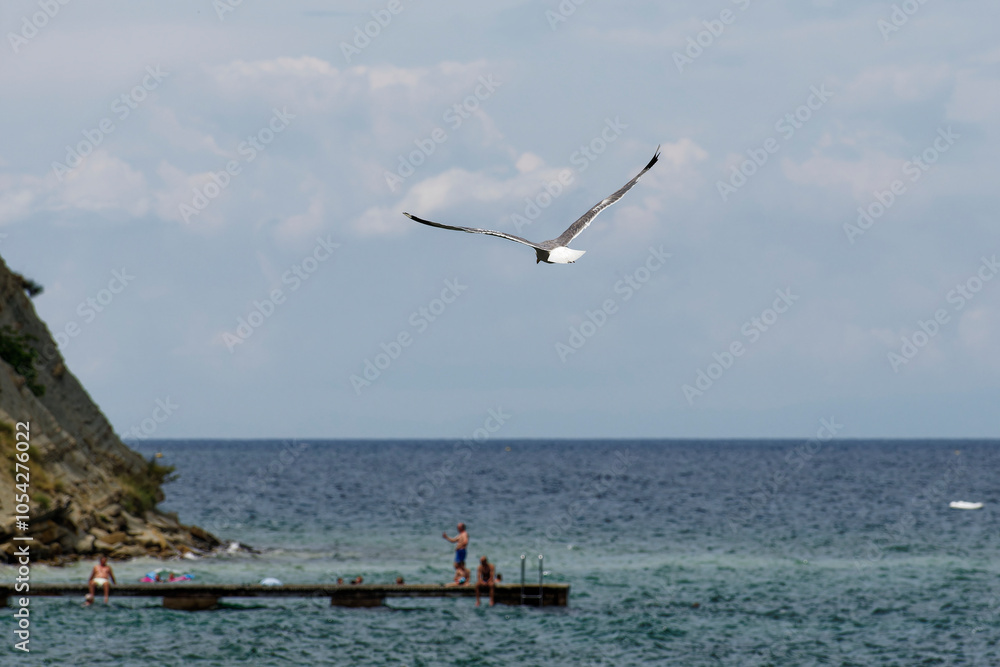Naklejka premium A seagull soaring over the Adriatic Sea