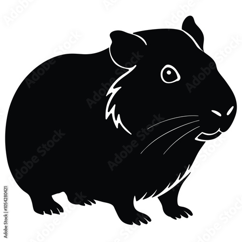 Photography Guinea pig animal art