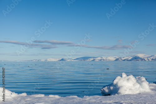 Serene Arctic Landscape with Ice and Clear Blue Waters