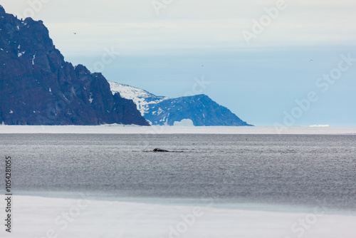 Majestic Arctic Landscape with Snowy Mountains and Open Water