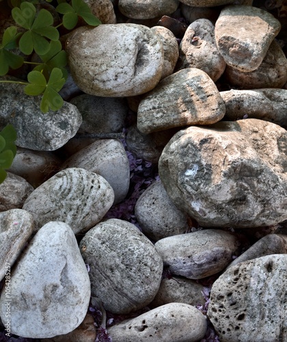 Ciottoli di pietra grigi in un giardino photo