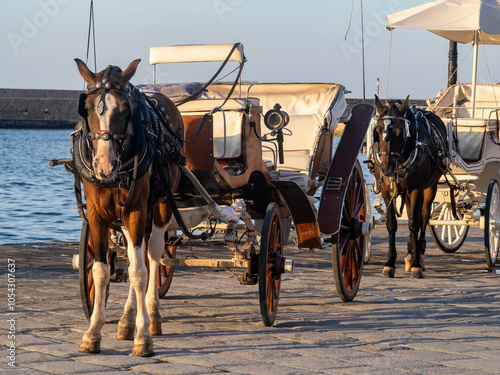 Horse and Carriage at Venetian harbour of Chania, Crete Island, Greece photo