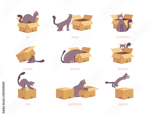 Cartoon English Prepositions Cute Cat Interacting with Boxes In Different Positions Set Educational Concept Flat Design Style. Vector illustration