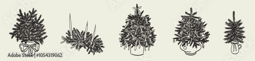 Merry christmas vector card. Christmas Tree decorated with baubles, bow ribbon in vase isolated on beige background. Vintage style x-mas wall art or sketch drawing for invitation, placard or poster.