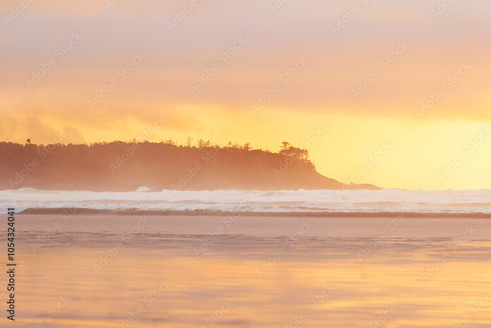 Fototapeta premium Ocean landscape in sunset light with waves, rocks and trees.