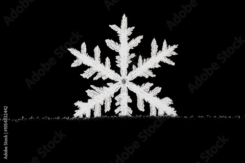 A snowflake is shown in a black and white photo