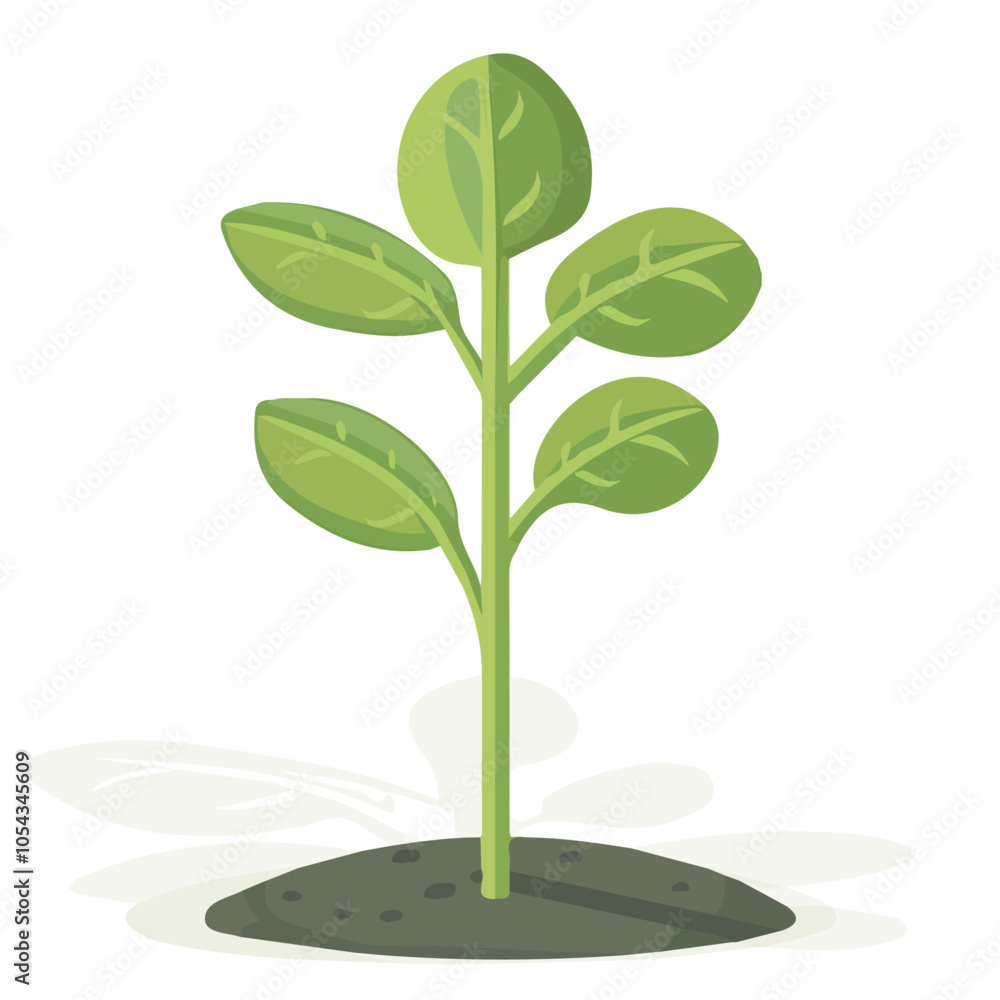 Fototapeta premium Simple flat 2D icon spinach isolated on transparent background, vector, flat design, animation design, vector, flat design, animation design, simple flat 2D icon, minimalist design, clipart