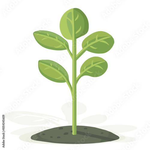 Simple flat 2D icon spinach isolated on transparent background, vector, flat design, animation design, vector, flat design, animation design, simple flat 2D icon, minimalist design, clipart