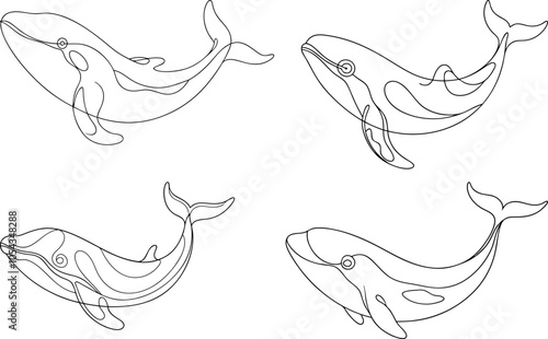 Set of Stylish Single Line Drawing of a Whale Unique Vector Artwork