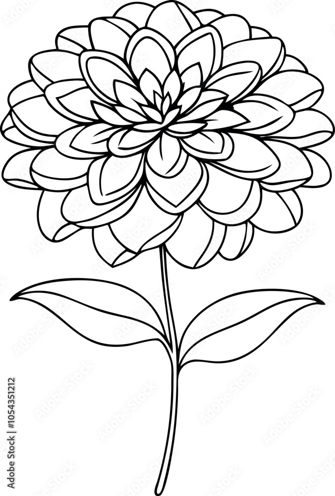 Single Line Drawing of Zinnia A Simple Yet Stunning Floral Illustration Single Line Drawing of Zinnia A Simple Yet Stunning Floral Illustration