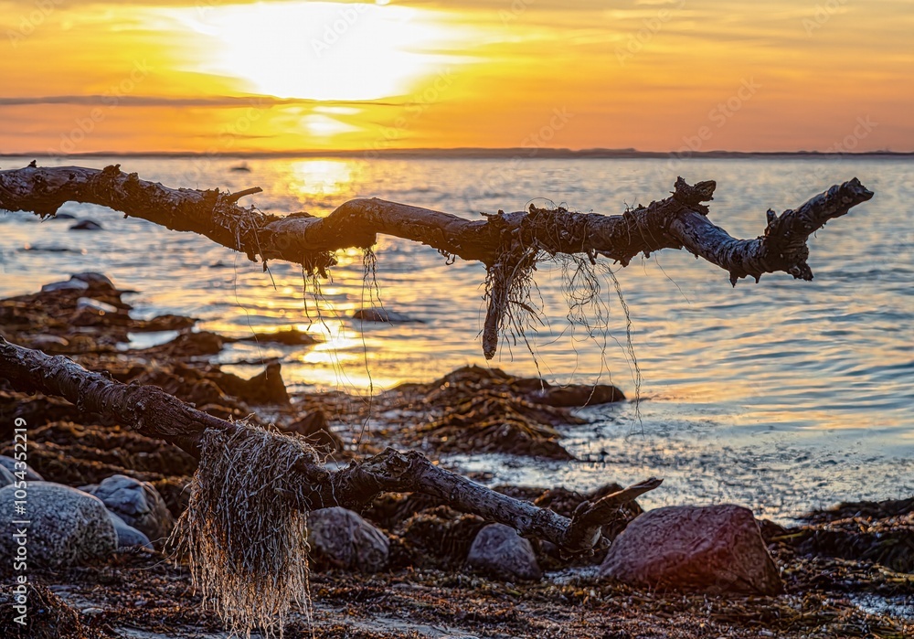 Fantastic sunset on the cliffs of the Baltic Sea on the island of Poel
