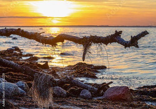 Obraz na płótnie Fantastic sunset on the cliffs of the Baltic Sea on the island of Poel w salonie