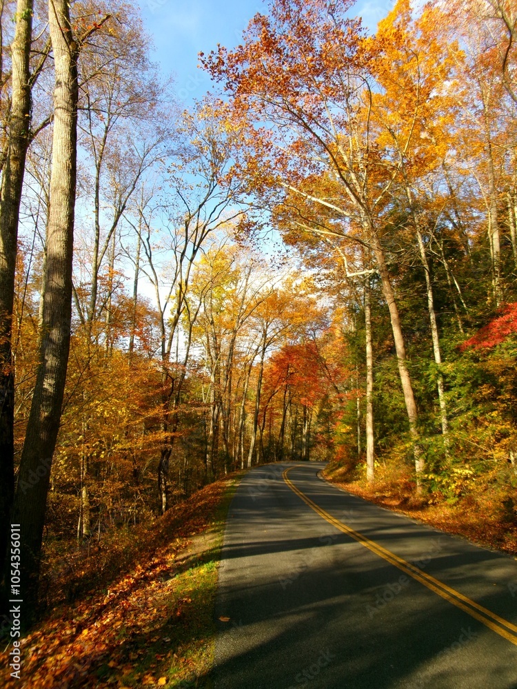 Fototapeta premium Mountain Road in Autumn