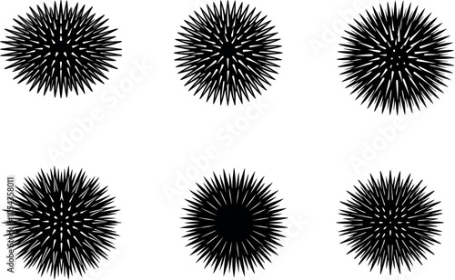 Set of Minimalist Sea Urchin Silhouette Vector Illustration for Graphic Projects