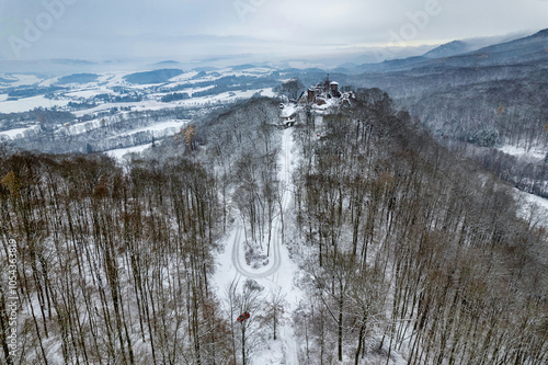Obraz na płótnie Aerial view ruins of old castle. Winter. Ruin of Hohnstein Castle, Harz mountains, Germany. w salonie