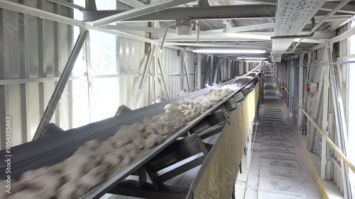 Industrial belt conveyor transporting limestones from quarry mine
