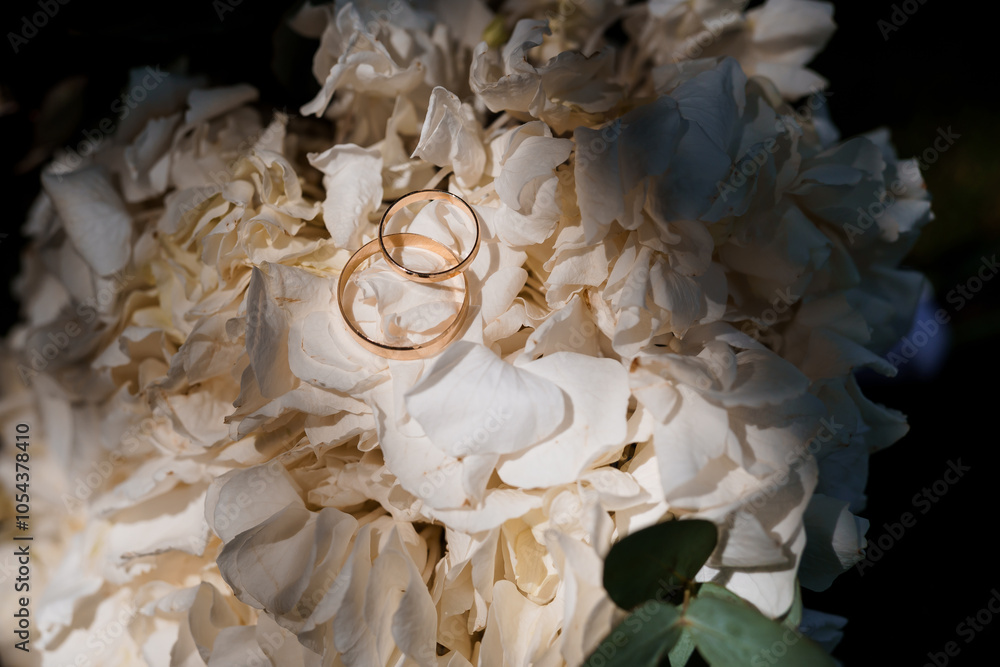 Elegant Golden Wedding Rings on Soft Hydrangea Petals Elegant Golden Wedding Rings on Soft Hydrangea Petals