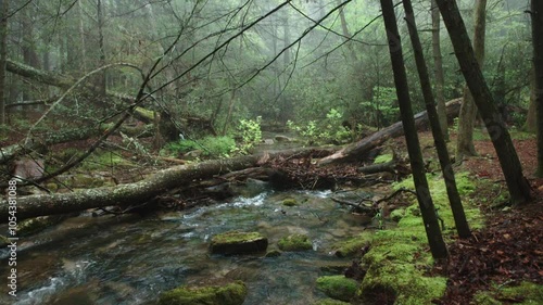 A gurgling stream in the Cherokee National Forest near Benton Springs, Tennessee photo