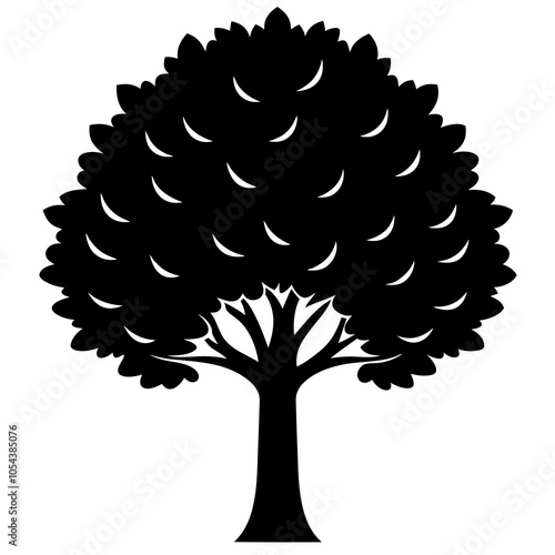 silhouette of tree