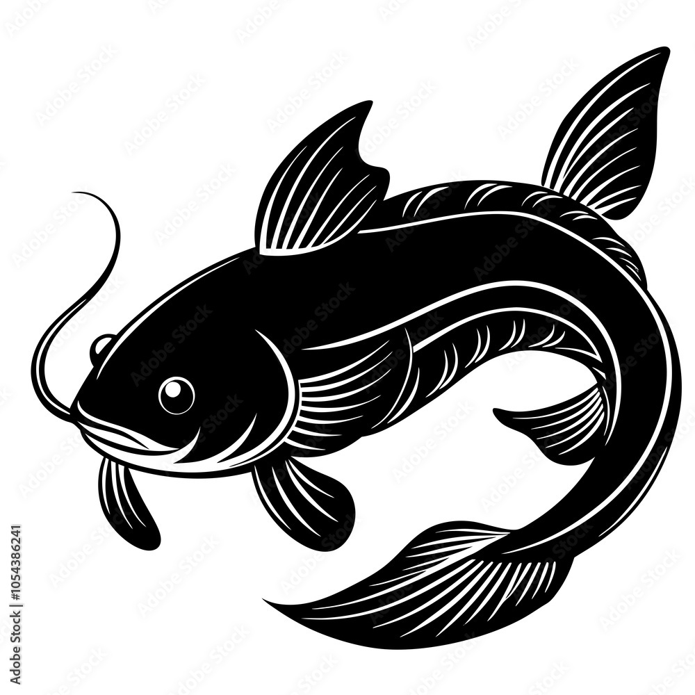 catfish isolated on white catfish isolated on white