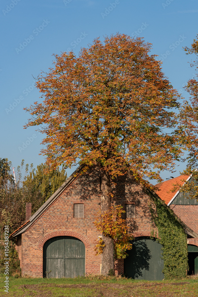 Herbstliche Landschaft in Westfalen Herbstliche Landschaft in Westfalen