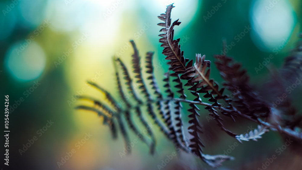 Macro de feuilles de fougère sauvages, dans un environnement aux couleurs froides Macro de feuilles de fougère sauvages, dans un environnement aux couleurs froides