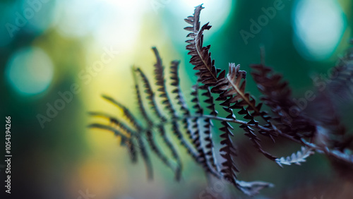 Wallpaper Mural Macro de feuilles de fougère sauvages, dans un environnement aux couleurs froides Torontodigital.ca