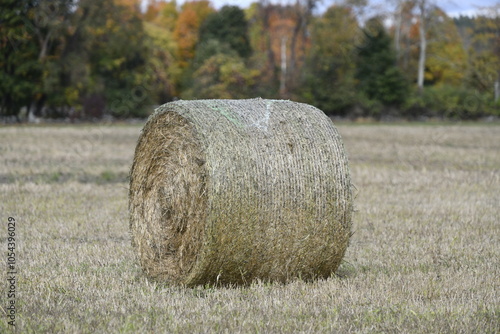 Hay Roll in a Field