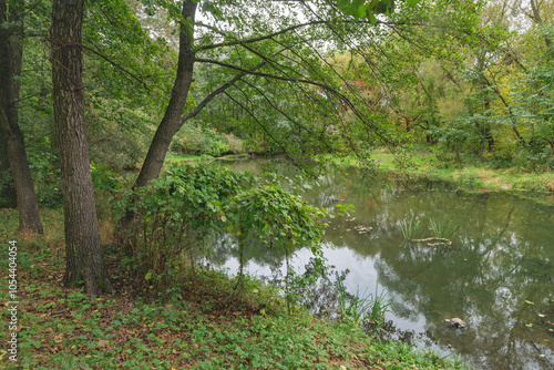 small pond in the park